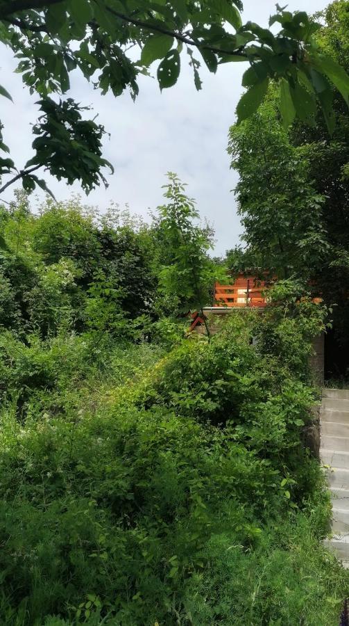 Barkoca Es Szepkilatas Vendeghaz / Cabin Verőcemaros Exteriör bild