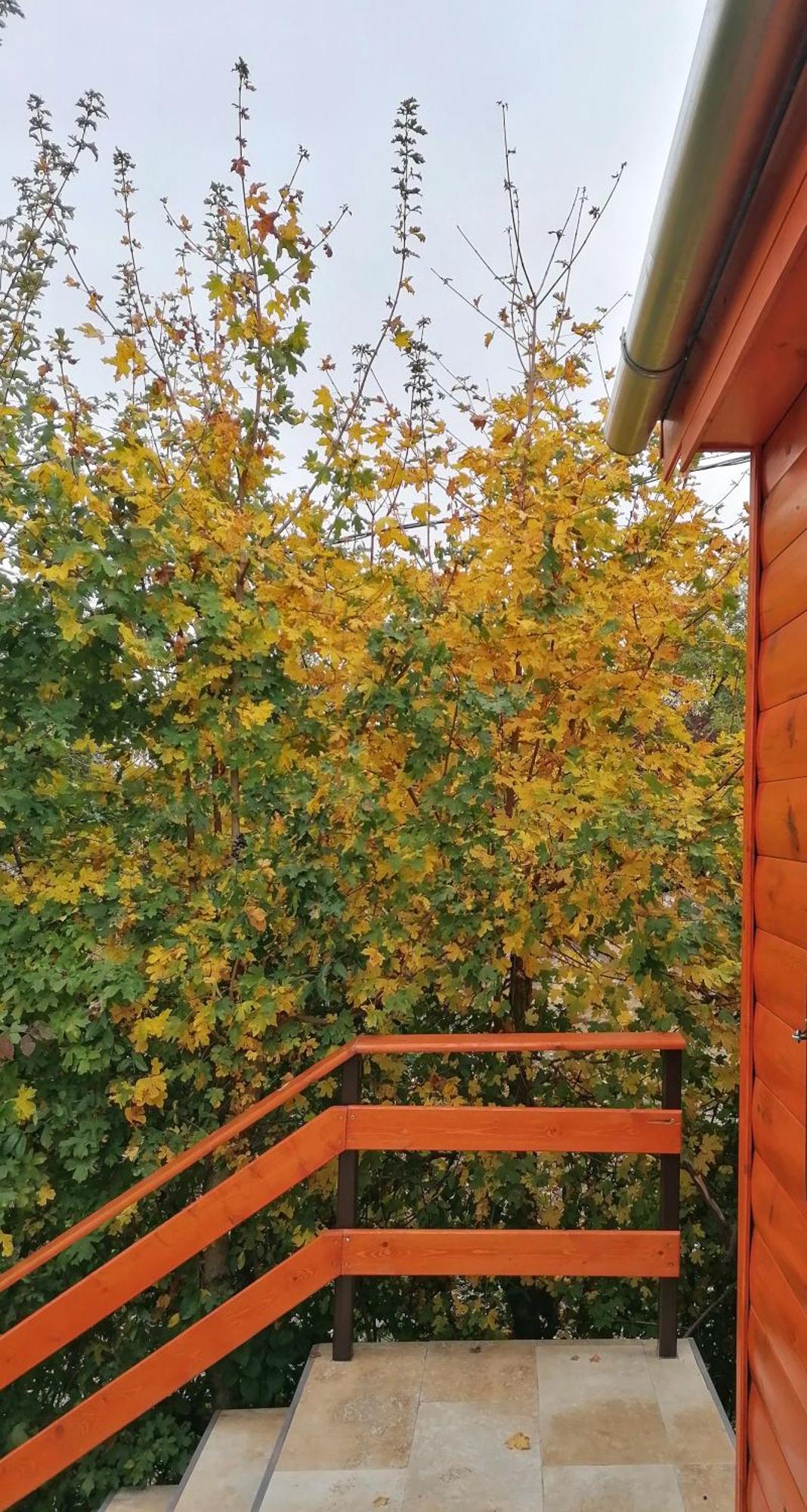 Barkoca Es Szepkilatas Vendeghaz / Cabin Verőcemaros Exteriör bild