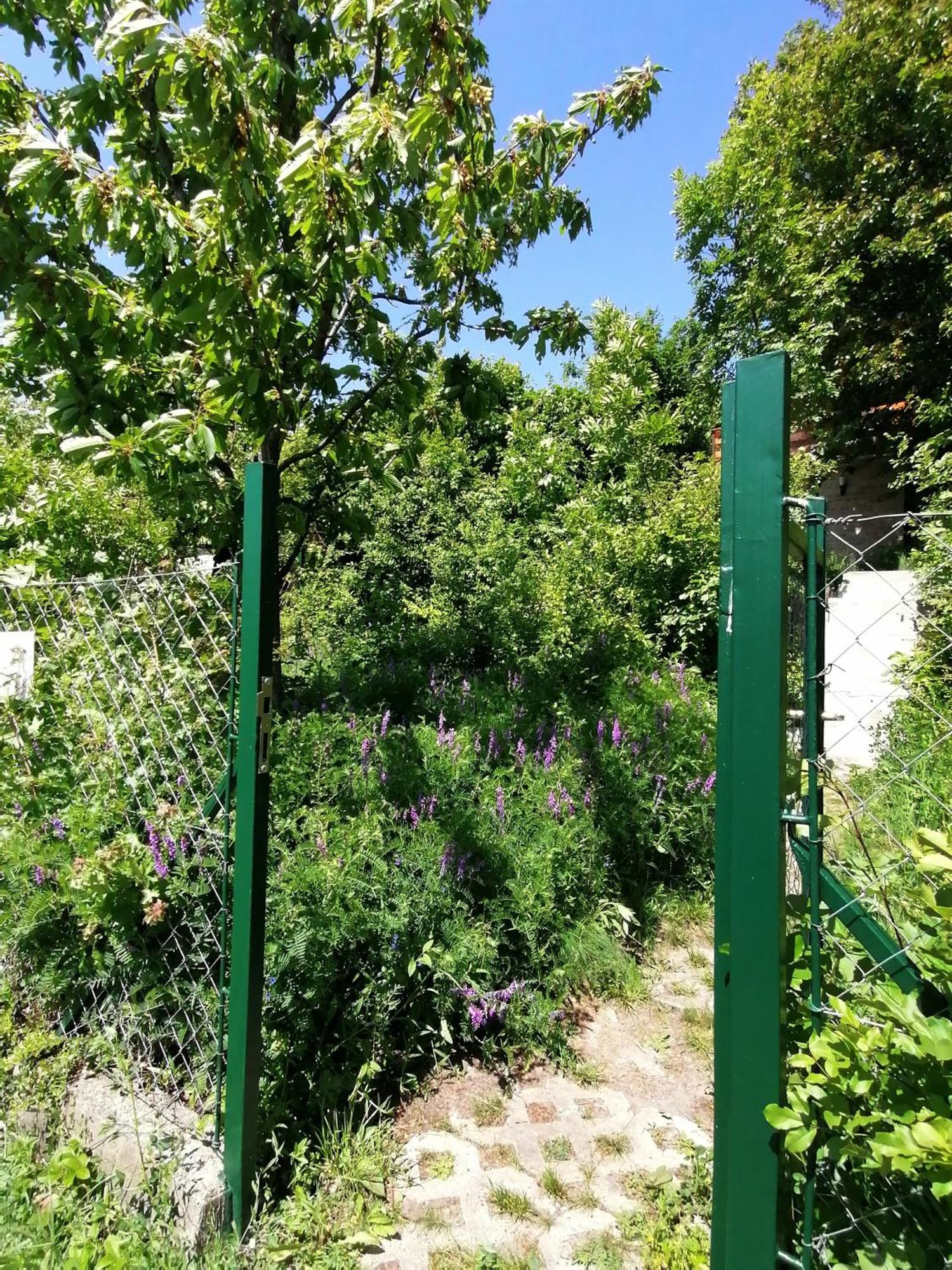 Barkoca Es Szepkilatas Vendeghaz / Cabin Verőcemaros Rum bild
